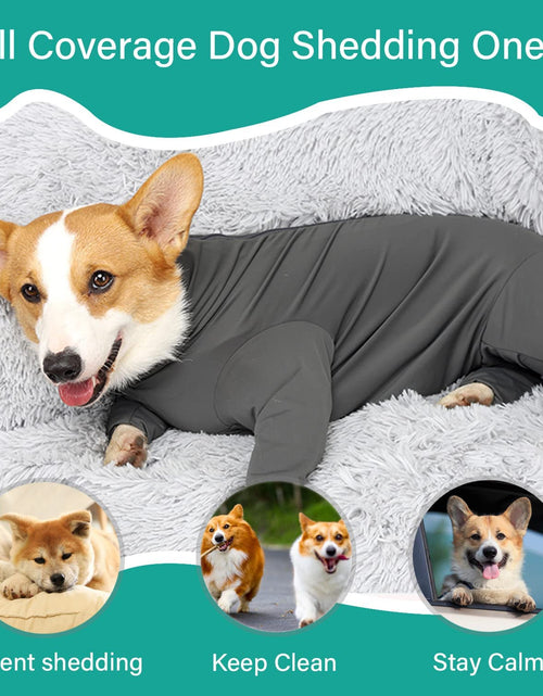 Load image into Gallery viewer, Dog Onesie Prevent Shedding Hair Surgery Recovery Suit Pet&#39;S Bodysuit Sport Shirt Reduce Anxiety Jumpshirt Gray/Xxl
