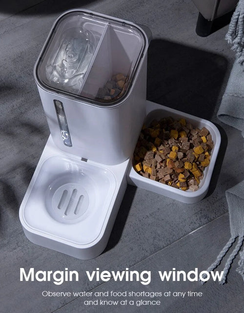 Load image into Gallery viewer, 2 in 1 Automatic Auto Pet Cat Dog Food Feeder Dispenser Set,Gravity Water Bowl
